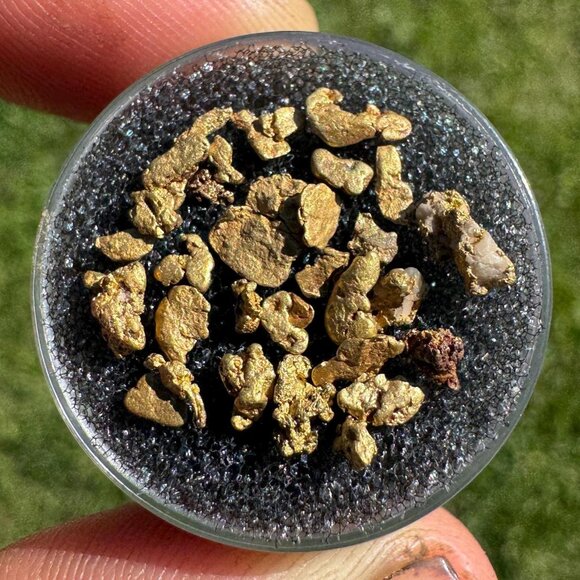 Gold Nuggets from California - 2 grams - Picture 1 of 4